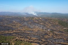 美媒：希腊野火肆虐
